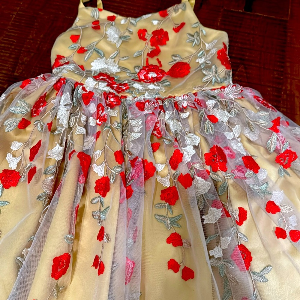 Chasing Fireflies special occasion dress